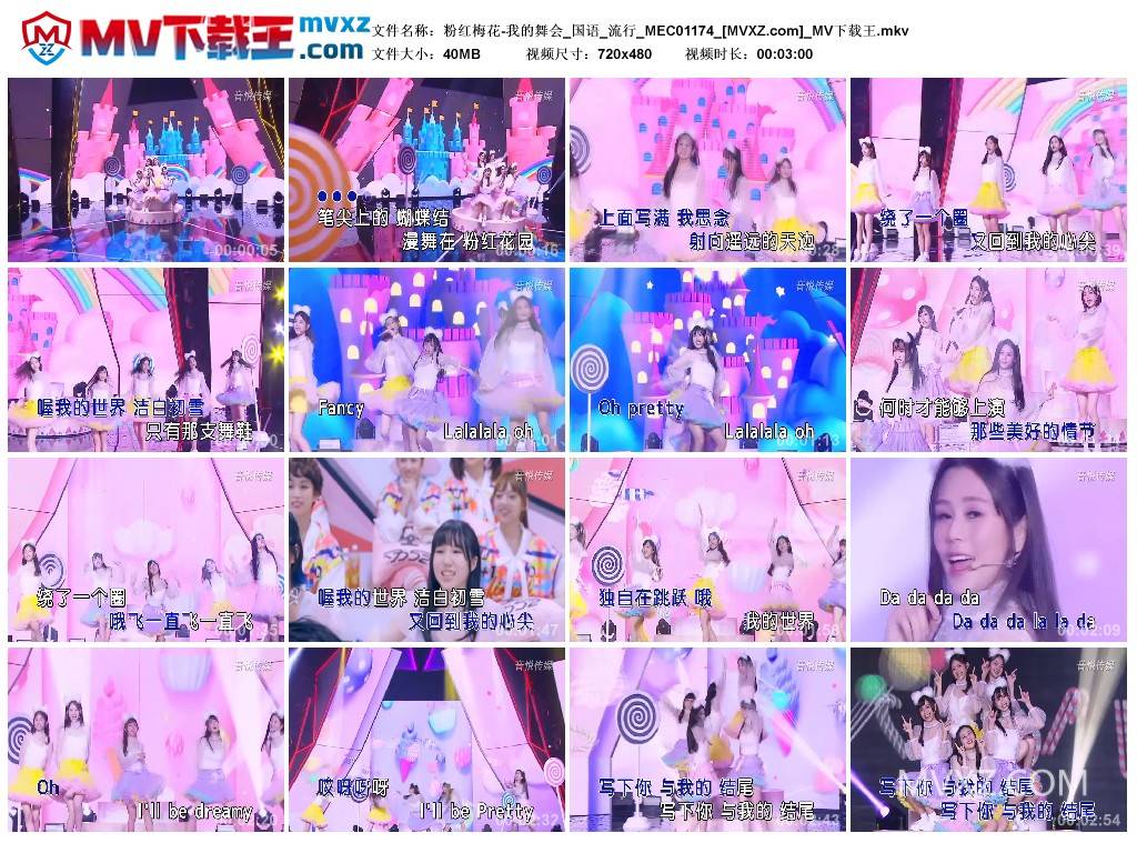 粉红梅花-我的舞会_国语_流行_MEC01174